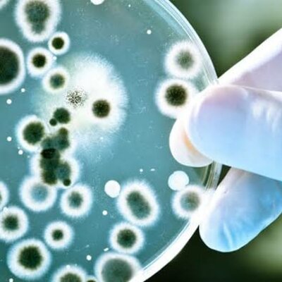 Timeline: Acontecimientos que apoyaron a la biodiversidad microbiana