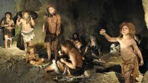 Homo sapiens neanderthalensis