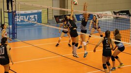 Timeline: Historia del voleibol