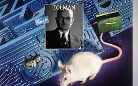 El aprendizaje de Tolman