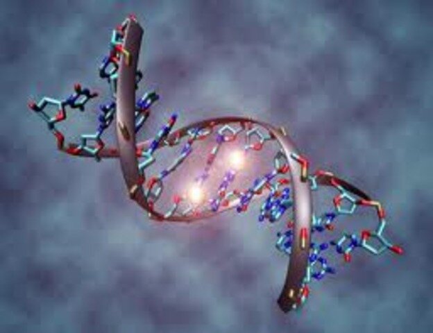 Métodos de secuenciación de DNA