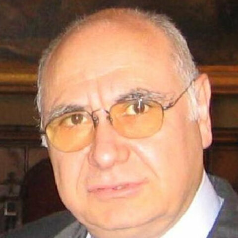 Joan Mallart I Navarra