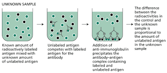 Desarrollo de los radio-inmuno-ensayos (RIA)