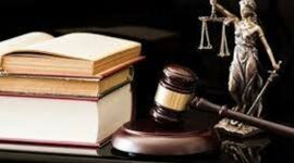 Timeline: DERECHO DE AMPARO