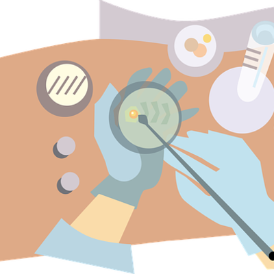 Timeline: El siglo de la genética - AriiiSC