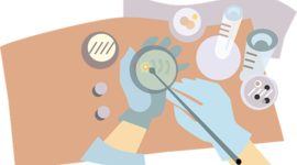 Timeline: El siglo de la genética - AriiiSC