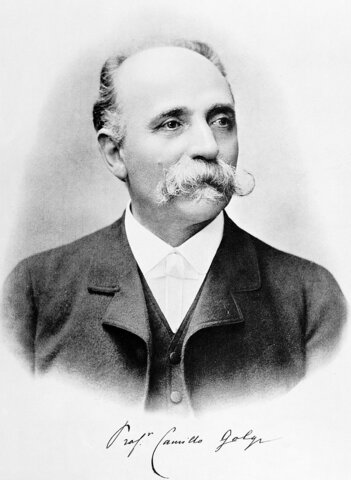 Camilo Golgi (1843-1926)