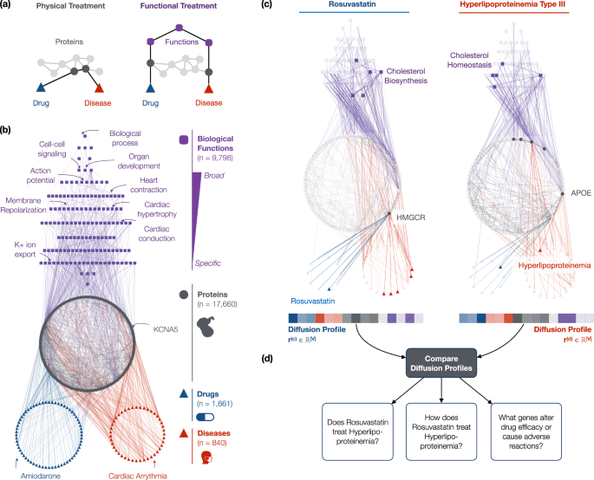 How Do They Treat Disease?