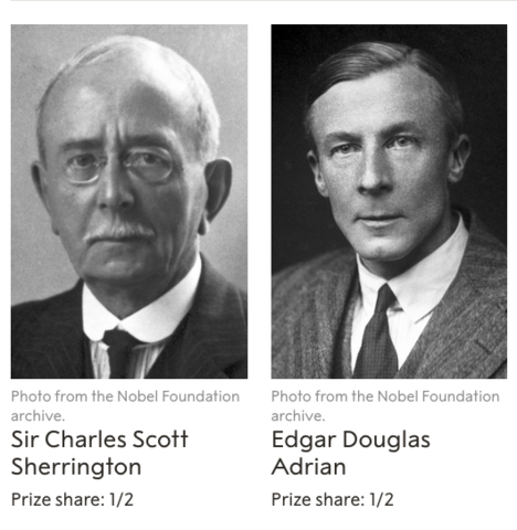Charles Sherrington (1857-1952) y Edgar Adrian (1889- 1977)