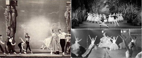 La danza como profesión