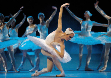 El lago de los cisnes