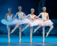 Danza clásica (Ballet)