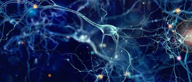 La primera agrupación Neuronal