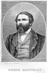 Louis Pierre Gratiolet