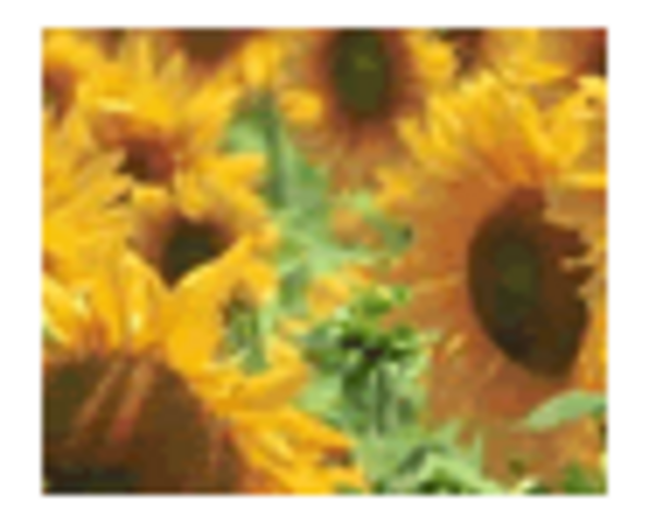 Evolution carburant Union Européenne