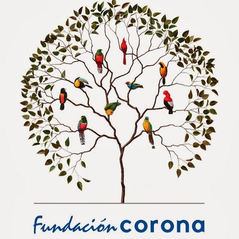 Se crea la Fundación Corona en Medellin