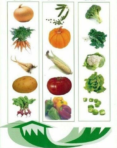 3-letno kolobarjenje