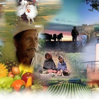 Timeline: CONTEXTO POLITICO DEL DESARROLLO RURAL EN COLOMBIA