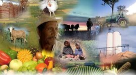 Timeline: CONTEXTO POLITICO DEL DESARROLLO RURAL EN COLOMBIA