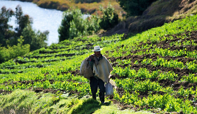 P9. Quiebre de la reforma denominado el mercado de tierras (1995-1999)
