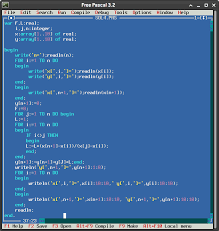 Pascal programming language