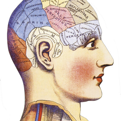 Timeline: LINEA DEL TIEMPO HISTORIA DE LA NEUROCIENCIA