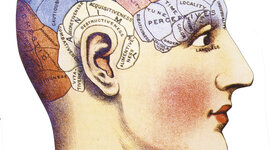 Timeline: LINEA DEL TIEMPO HISTORIA DE LA NEUROCIENCIA