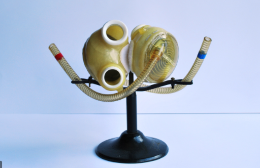 First Permanent Artificial Heart
