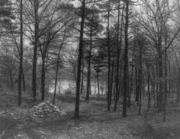 Prairie fire in central part of state burned 72,000 acres of grassland, killed cattle