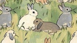 Timeline: the day we first met.