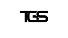 Timeline: Linea del tiempo TGS