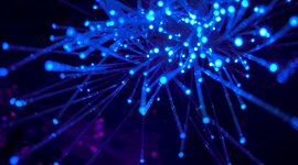 Timeline: Historia del Internet