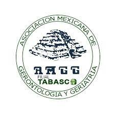 Asociación Mexicana de Geriatría y Gerontología (AMGG)