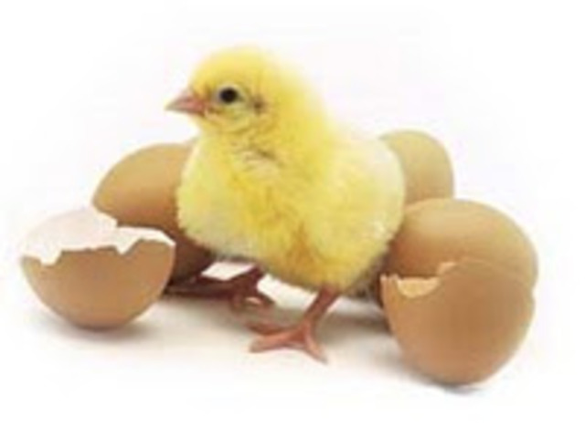 El día que vine al mundo