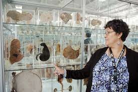 el museo anatomo-patológico nacional se transforma en el instituto patológico nacional