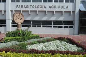 Se funda la comisión de parasitología agrícola