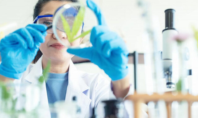 Propuestas de  ciencias