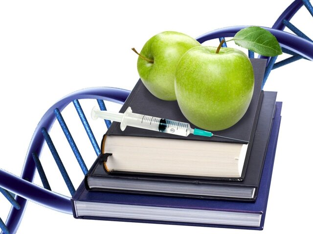 Regulaciones sobre los OGMs