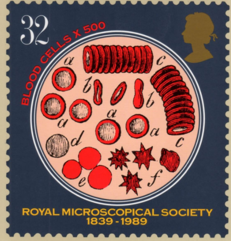 Microscopical society of London