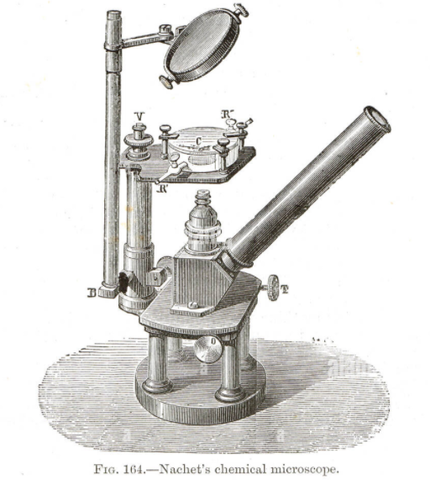 Evolución del microscopio timeline | Timetoast timelines