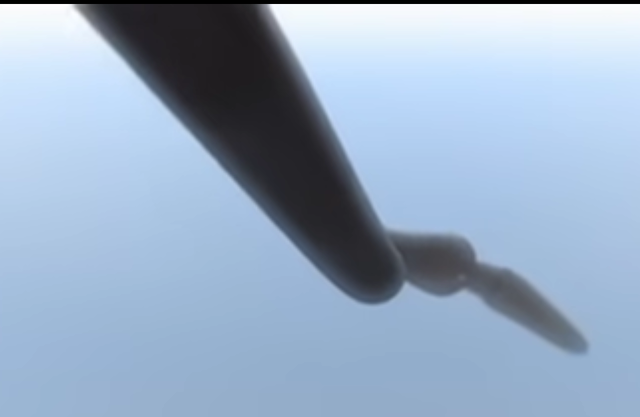 SOMOS UN GUSANO ACUÁTICO