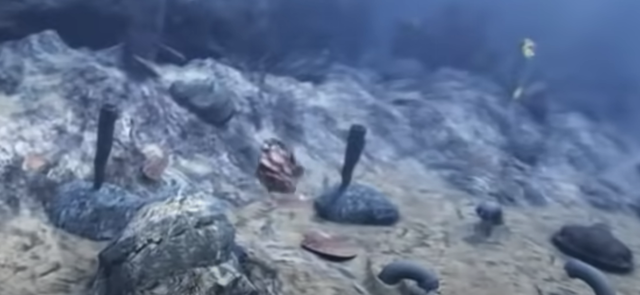 PERFECCIONAMIENTO DEL OJO