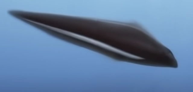 SOMOS UN PEZ LLAMADO MILOCON MINYA