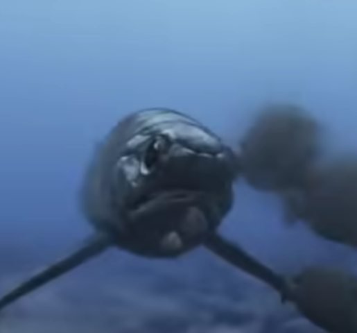 SOMOS UN PEZ BLINDADO