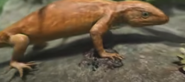 NOS CONVERTIMOS EN UNA CACINERIA