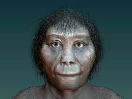 Homo floresiensis