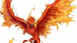 Timeline: Imagiantion Coma at 14