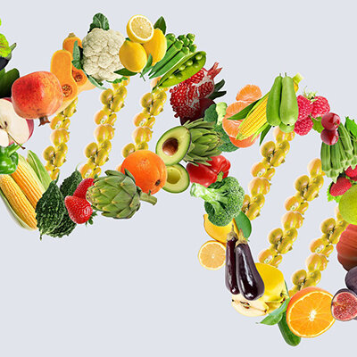 Timeline: Avances nutrigenètica