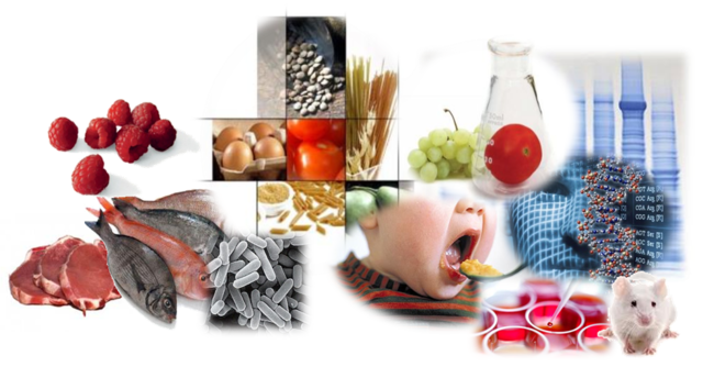 Departamentos nuevos.