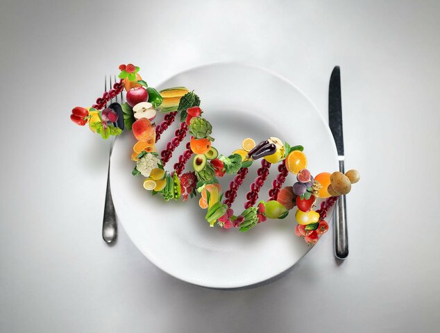 The Obesity Society Journal.